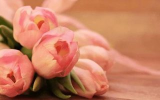 【Internal Memo 202102】Holiday Schedule of Women’s Day